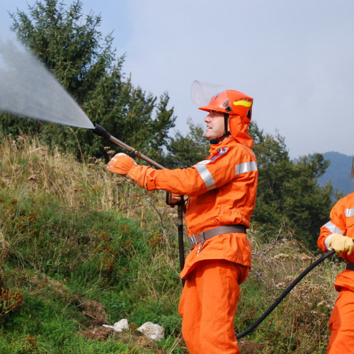 Addestramento congiunto 11/09/2011 n. 18 / 70225