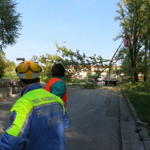 Attivit‡ del 19/10 n. 36 / 100945