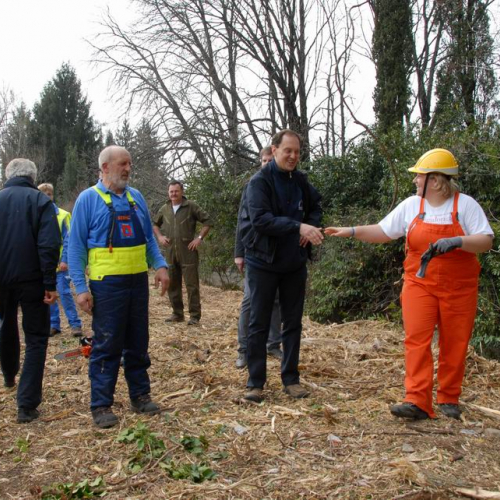 Intervento Attimis n. 20 / 78807