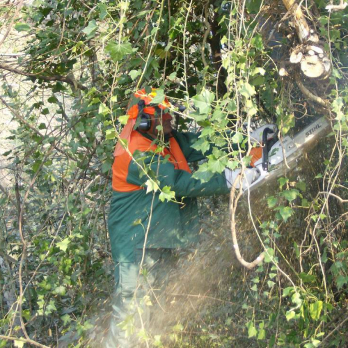 Intervento Ronchis n. 18 / 78913