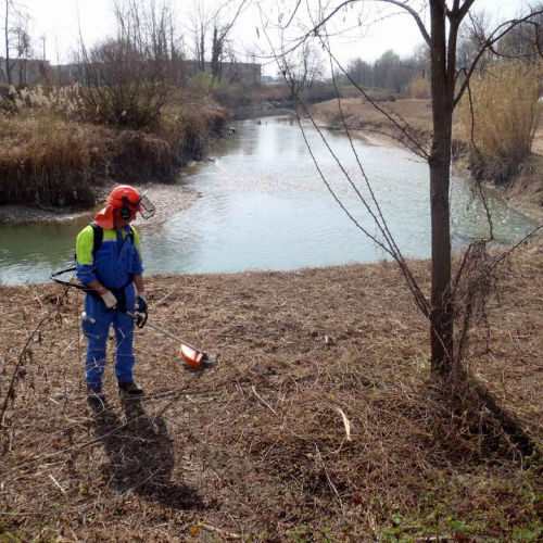 Intervento Caneva n. 19 / 78870