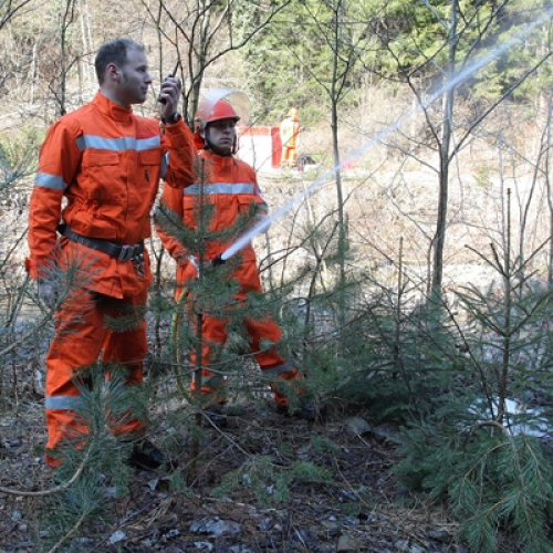 Addestramento 14/03 n. 19 / 36176