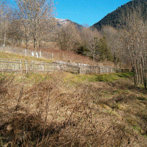 Comeglians foto 2 / 9174