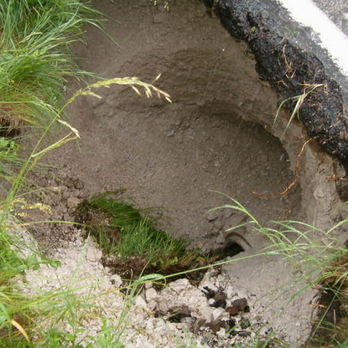 Foto OPI 602 n. 2 / 24424