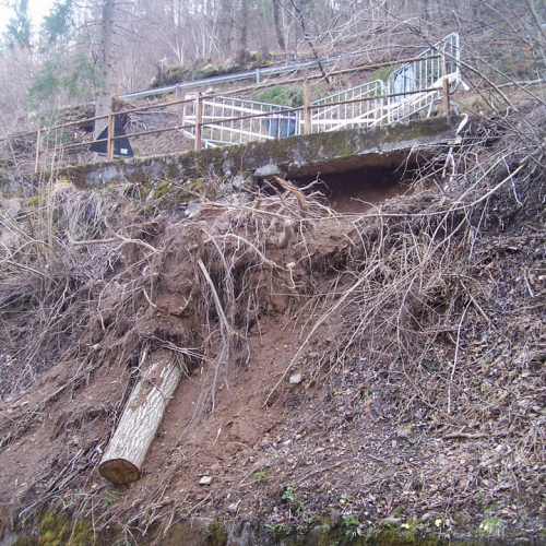 Sopralluogo consegna lavori OPI650 n. 1 / 36850