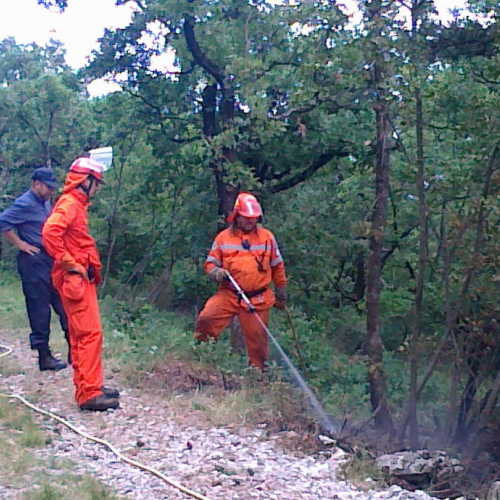 Incendio boschivo 23/06 n. 1 / 67739