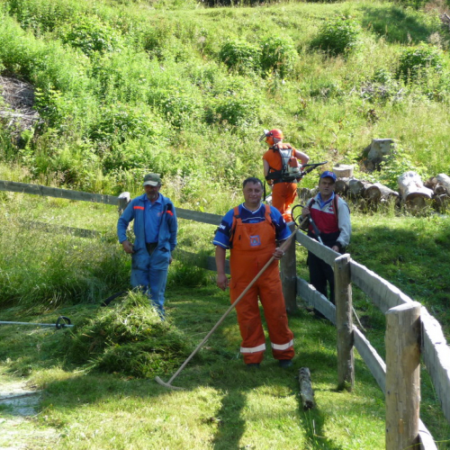 Attivit‡ prevenzione del 09/07 n. 14 / 68739