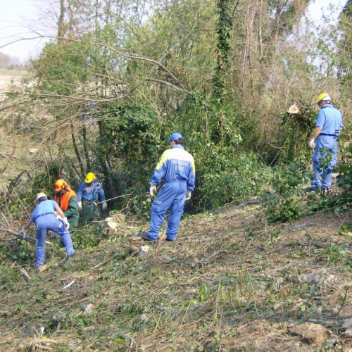 Intervento Ronchis n. 19 / 78914