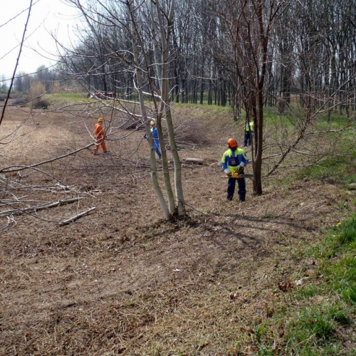 Intervento Caneva n. 20 / 78871