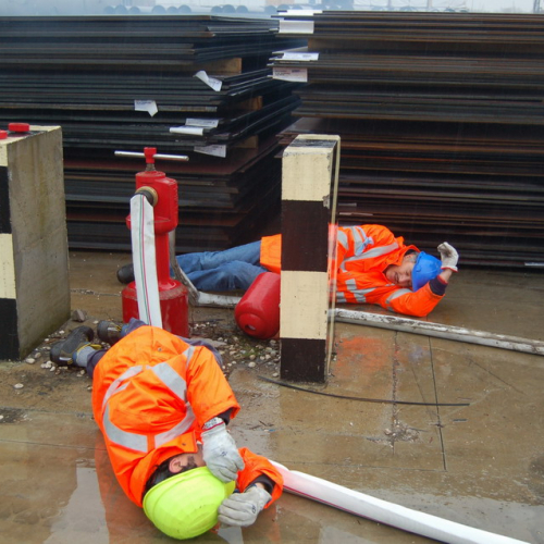 Esercitazione Porto Nogaro n. 12 / 35073