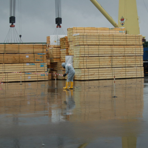 Esercitazione Porto Nogaro n. 49 / 35110