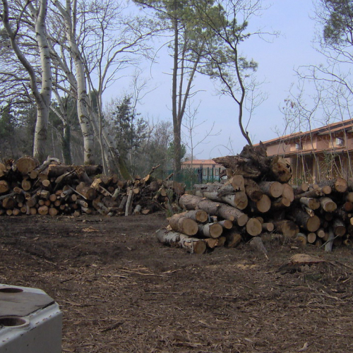 foto pineta 09 / 8882