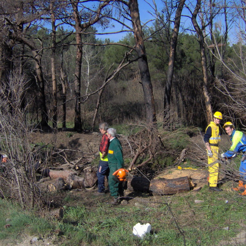 foto I∞ corso 11 / 8894