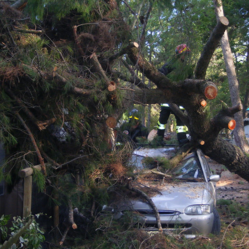 Volontari a Grado per emergenza 9 agosto n. 2 / 29461