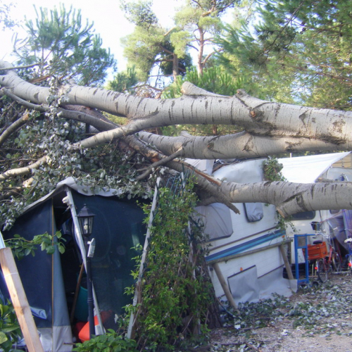 Volontari a Grado per emergenza 9 agosto n. 3 / 29462