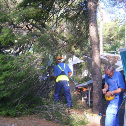 Volontari a Grado per emergenza 9 agosto n. 6 / 29465