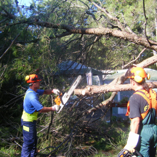 Volontari a Grado per emergenza 9 agosto n. 9 / 29468