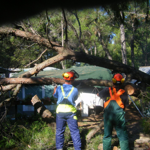 Volontari a Grado per emergenza 9 agosto n. 10 / 29469