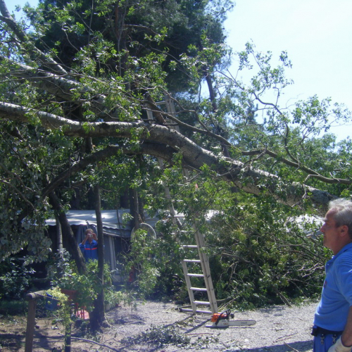 Volontari a Grado per emergenza 9 agosto n. 21 / 29480