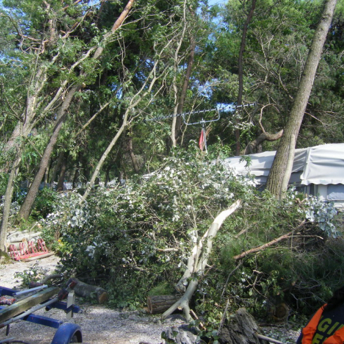 Volontari a Grado per emergenza 9 agosto n. 28 / 29487
