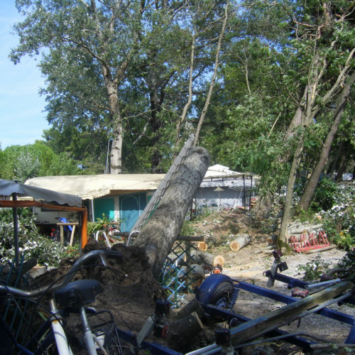 Volontari a Grado per emergenza 9 agosto n. 29 / 29488
