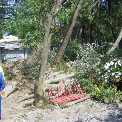 Volontari a Grado per emergenza 9 agosto n. 30 / 29489