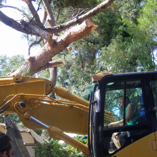 Volontari a Grado per emergenza 9 agosto n. 32 / 29491