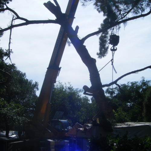 Volontari a Grado per emergenza 9 agosto n. 35 / 29494