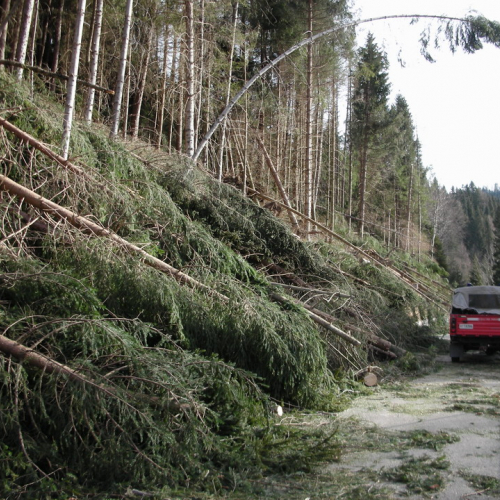 Altre foto Forni Avoltri n. 6 / 20350