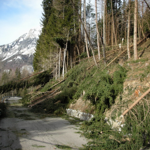 Altre foto Forni Avoltri n. 7 / 20351