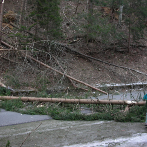 Altre foto Forni Avoltri n. 13 / 20357