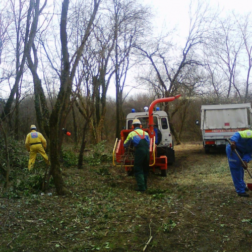 Attivit‡ pulizia Cormor n. 3 / 35451