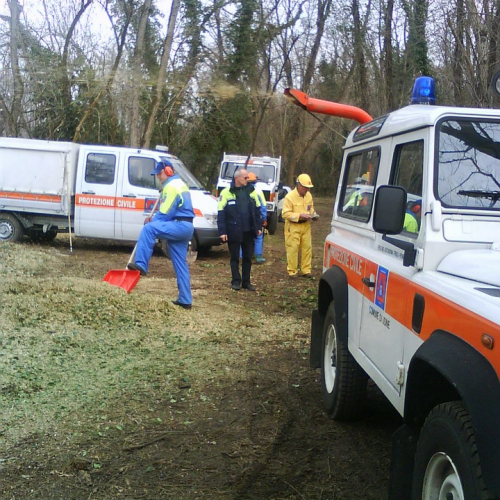 Attivit‡ pulizia Cormor n. 7 / 35455