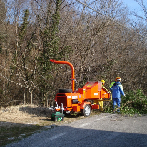 Attivit‡ a Martignacco il 14/03 n. 1 / 36004