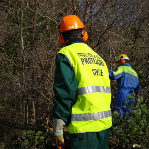 Attivit‡ a Martignacco il 14/03 n. 2 / 36005