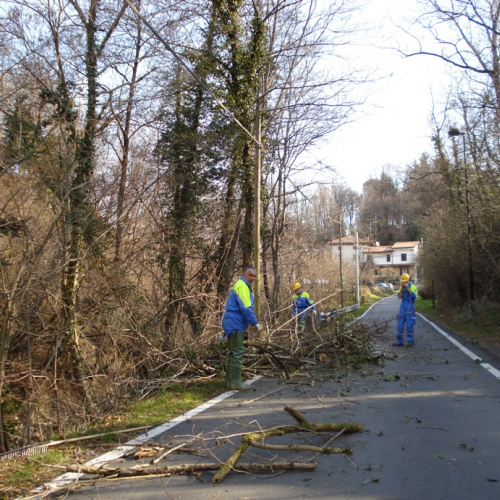 Attivit‡ a Martignacco il 14/03 n. 3 / 36006