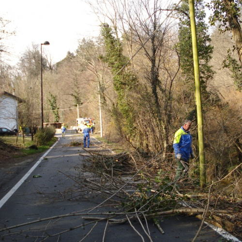 Attivit‡ a Martignacco il 14/03 n. 4 / 36007