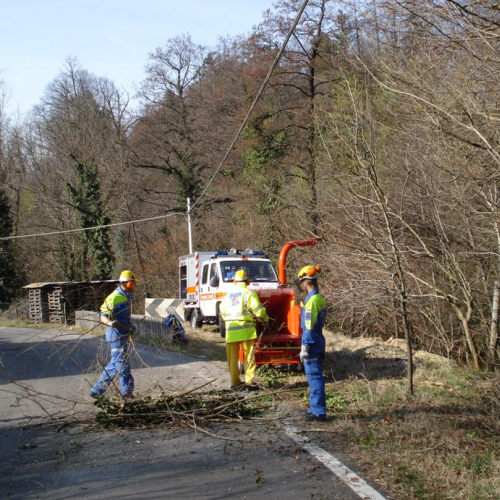 Attivit‡ a Martignacco il 14/03 n. 5 / 36008