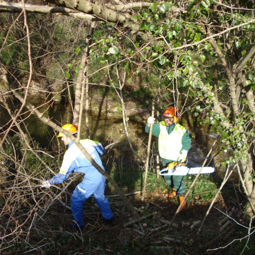 Attivit‡ a Martignacco il 14/03 n. 6 / 36009