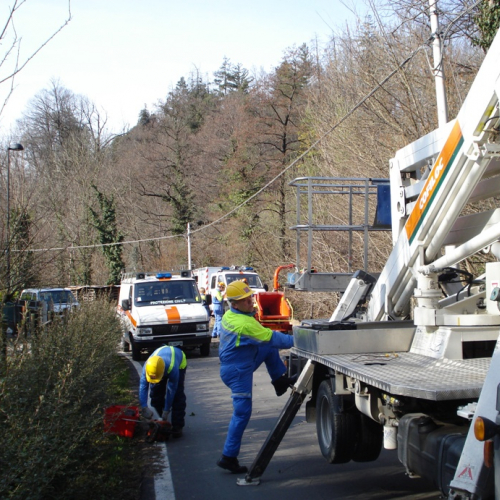 Attivit‡ a Martignacco il 14/03 n. 7 / 36010