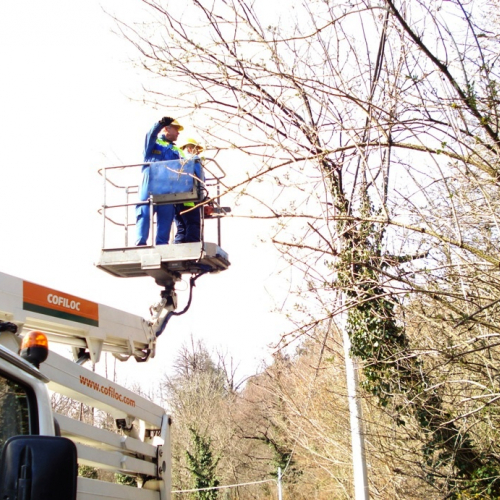 Attivit‡ a Martignacco il 14/03 n. 9 / 36012