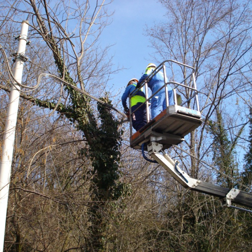 Attivit‡ a Martignacco il 14/03 n. 11 / 36014