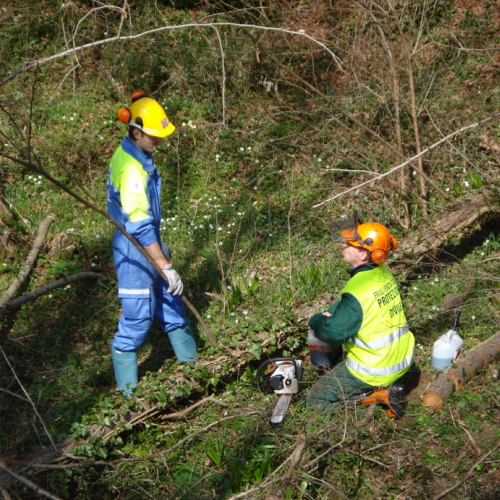 Attivit‡ a Martignacco il 14/03 n. 14 / 36017