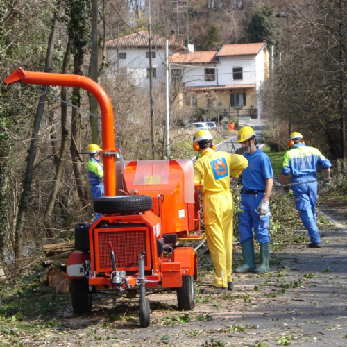 Attivit‡ a Martignacco il 14/03 n. 15 / 36018