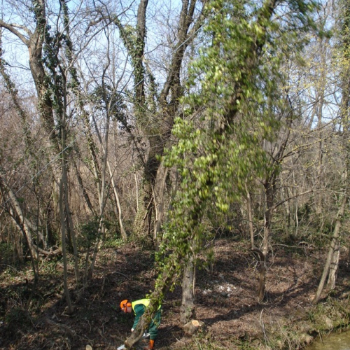 Attivit‡ a Martignacco il 14/03 n. 16 / 36019