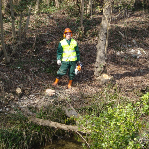 Attivit‡ a Martignacco il 14/03 n. 17 / 36020