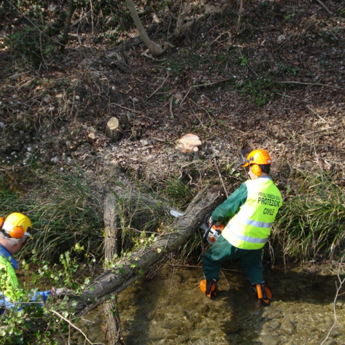 Attivit‡ a Martignacco il 14/03 n. 18 / 36021