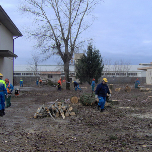 Attivit‡ addestrativa 17 e 18/01 n. 2 / 34183