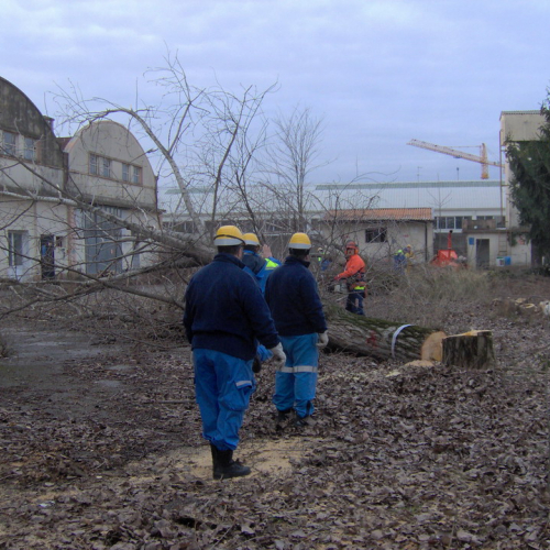 Attivit‡ addestrativa 17 e 18/01 n. 3 / 34184