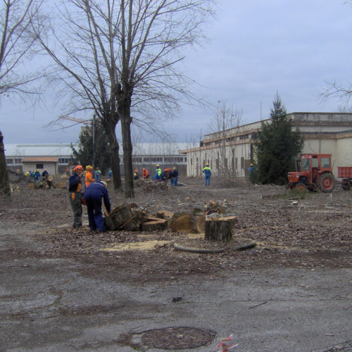 Attivit‡ addestrativa 17 e 18/01 n. 7 / 34188